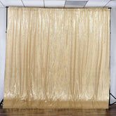 20ftx10ft Champagne Chiffon Sequin Event Curtain Drapes, Dual Layer Photo Backdrop Event Panel