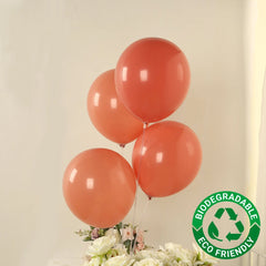 50 Pack Matte Pastel Dusty Rose Biodegradable Balloons 12", Round Eco-friendly Thick Latex Party Balloons