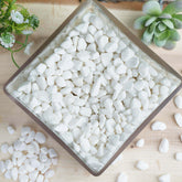 2Lbs White Pebble Stone Vase Fillers, Decorative Crushed Gravel