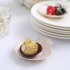 24-Pack Mini Wheat Straw Fiber Serving Trays Sea Shell Design Biodegradable - Great for Snacks 3.5"