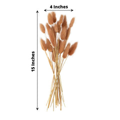 50-Pack Dried Bunny Tail Grass Brown - Rustic Chic Lagurus Ovatus Rabbit Tail Ornamental Grass for Modern Farmhouse Decor Event Styling & Floral Displays 15"