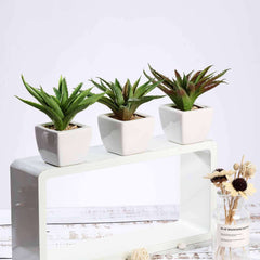 3-Pack Spotted Aloe Vera Artificial Succulents in Ceramic Pot - Lifelike Decorative Faux Plants for Home Office & Event Design 5"
