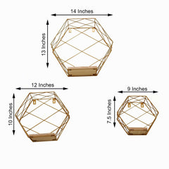 3 Pack Gold Hexagonal Floating Wall Shelves, Decorative Geometric Wall Mounted Shelves - 9",12",14"