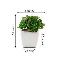 3-Pack Echeveria Elegans Artificial Succulents in Ceramic Pot - Lifelike Decorative Faux Plants for Home Office & Event Design 5"