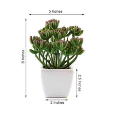 3-Pack Stonecrop Artificial Succulents in Ceramic Pots - Lifelike Decorative Faux Plants for Home Office & Event Design 7"