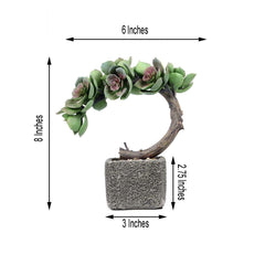 Perle Von Nurnberg Artificial Succulents in Concrete Pot - Lifelike Decorative Faux Plants for Home Office & Event Design 8"
