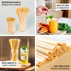 100-Pack Compostable Straws Plant Based 100% Plastic Free - Sustainable Biodegradable Wheat Straws 9"