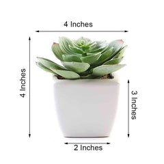 3-Pack Echeveria Artificial Succulents in Ceramic Pot - Lifelike Decorative Faux Plants for Home Office & Event Design 4"