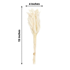 50-Pack Dried Bunny Tail Grass Natural White - Rustic Chic Lagurus Ovatus Rabbit Tail Ornamental Grass for Modern Farmhouse Decor Event Styling & Floral Displays 15"