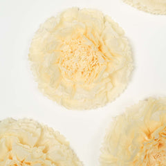 Set of 6 Ivory Cream Giant Carnation 3D Paper Flowers Wall Decor - 12",16",20"