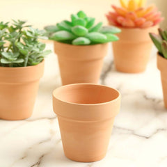 24-Pack Favor Buckets Mini Terracotta Pots Rust Design - Ceramic Clay Planters for Succulents and Cactus 2.5"