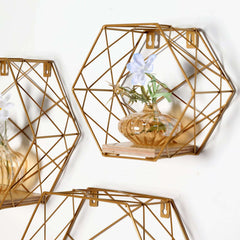 3 Pack Gold Hexagonal Floating Wall Shelves, Decorative Geometric Wall Mounted Shelves - 9",12",14"