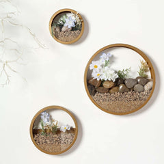 Set of 3 Gold Half Moon Wall Planters, Round Metal Wall Hanging Planter, Modern Indoor Outdoor Terrarium - 6",8",12"