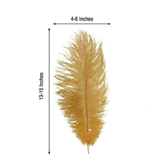 12 Pack 13"-15" Gold Natural Plume Real Ostrich Feathers, DIY Centerpiece Fillers