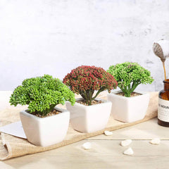 3-Pack Joy Sedum Artificial Succulents in Ceramic Pots - Lifelike Decorative Faux Plants for Home Office & Event Design 6"
