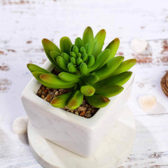 3-Pack Lotus Artificial Succulents in Ceramic Pot - Lifelike Decorative Faux Plants for Home Office & Event Design 4"