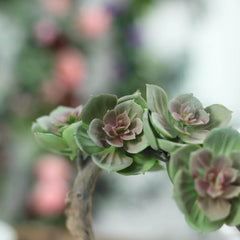 Perle Von Nurnberg Artificial Succulents in Concrete Pot - Lifelike Decorative Faux Plants for Home Office & Event Design 8"