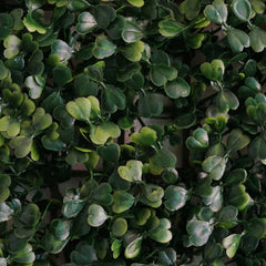 11 Sq ft. Dark Green Boxwood Hedge Garden Wall Backdrop Mat - 4 Artificial Panels