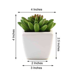 3-Pack Lotus Artificial Succulents in Ceramic Pot - Lifelike Decorative Faux Plants for Home Office & Event Design 4"