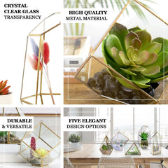 Glass Terrarium Hanging Diamond Prism Design Metal Gold - Geometric Holder for Air Plants & Displays 9"