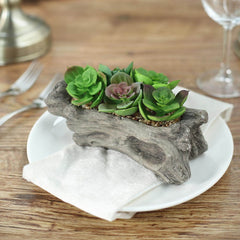 Perle Von Nurnberg Artificial Succulents Arrangements in 7" Log Planter - Lifelike Faux Plant for Stylish Home Bathroom Tabletop Indoor Outdoor Greenery Decor