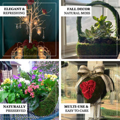 Set of 2 Rustic Planter Boxes Preserved Moss Log Shaped with Handle - Flower Basket Centerpieces 13", 15"