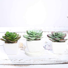 3-Pack Echeveria Artificial Succulents in Ceramic Pot - Lifelike Decorative Faux Plants for Home Office & Event Design 4"