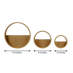 Set of 3 Gold Half Moon Wall Planters, Round Metal Wall Hanging Planter, Modern Indoor Outdoor Terrarium - 6",8",12"