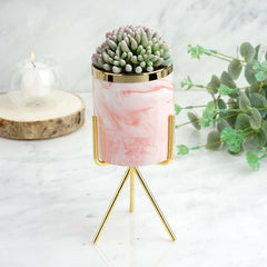 Ceramic Planter Gold Rimmed Pink Marble Design with Gold Metal Stand - Decorative Vase 8"