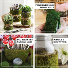 4ft 2" Wide Green Preserved Moss Ribbon Roll, DIY Craft Ribbon