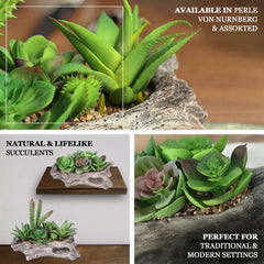 Perle Von Nurnberg Artificial Succulents Arrangements in 7" Log Planter - Lifelike Faux Plant for Stylish Home Bathroom Tabletop Indoor Outdoor Greenery Decor