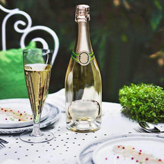 12-Pack Plastic Champagne Flutes Hollow Stem Clear - Lightweight Disposable Glasses for Toasts 5oz