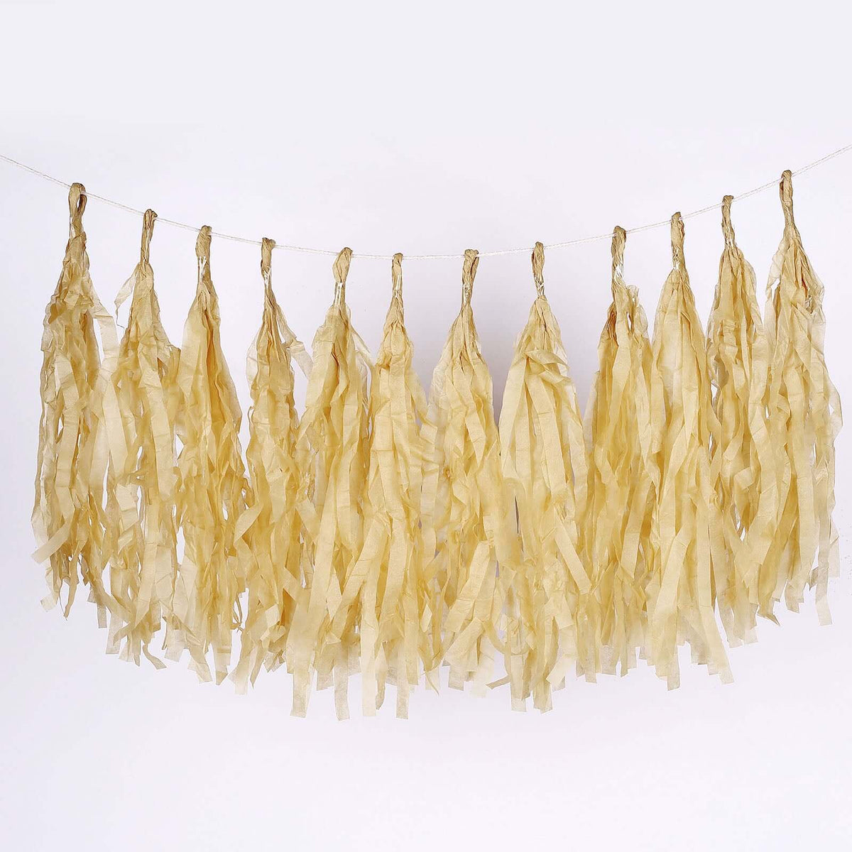 12 Pack Pre-Tied Champagne Paper Fringe Tassels With Garland String, Hanging Streamer Banner