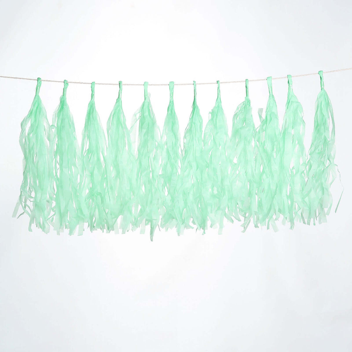 12 Pack Pre-Tied Mint Tissue Paper Tassel Garland With String, Hanging Fringe Party Streamer Backdrop Decor