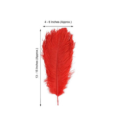 12 Pack 13"-15" Red Natural Plume Real Ostrich Feathers, DIY Centerpiece Fillers