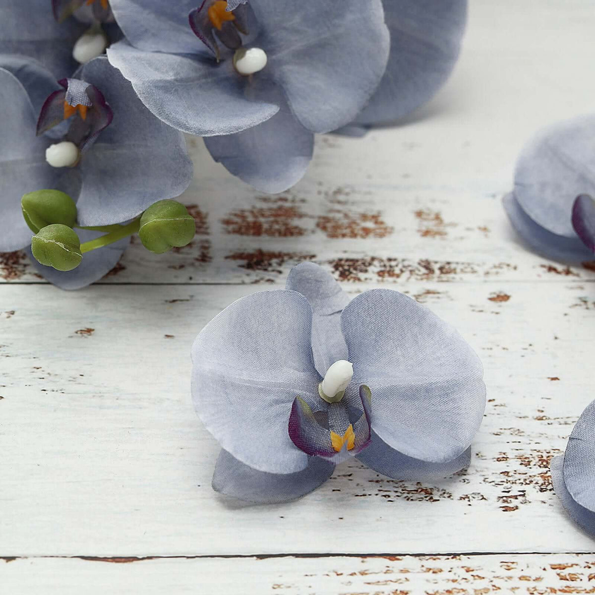 20 Silk Artificial Orchids Flower Heads Charcoal Gray - Versatile Floral Accents for DIY Floral Arrangements Corsages & Event Decor 4"