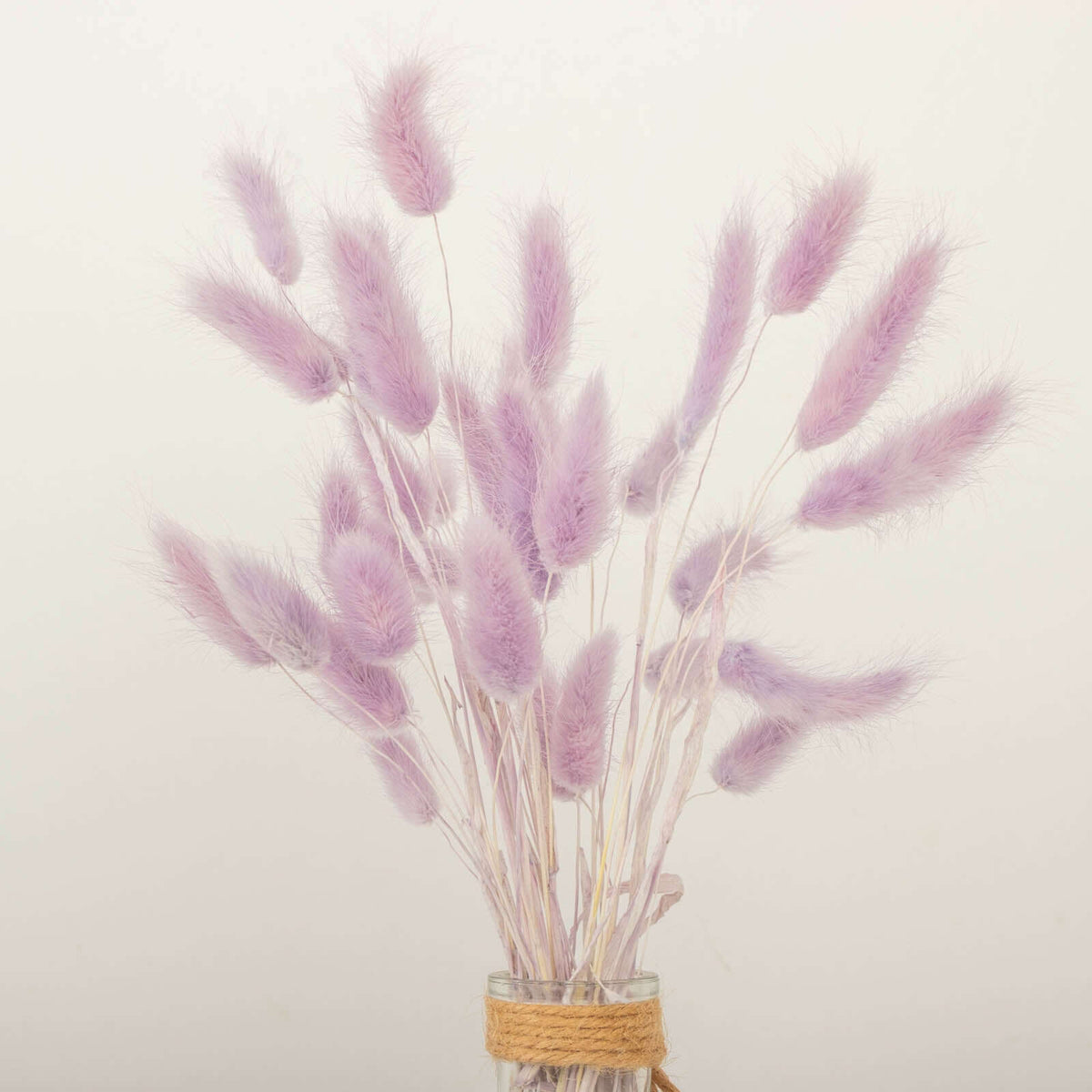 50-Pack Dried Bunny Tail Grass Lavender Lilac - Rustic Chic Lagurus Ovatus Rabbit Tail Ornamental Grass for Modern Farmhouse Decor Event Styling & Floral Displays 15"