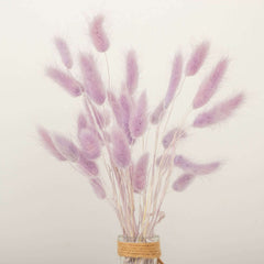 50-Pack Dried Bunny Tail Grass Lavender Lilac - Rustic Chic Lagurus Ovatus Rabbit Tail Ornamental Grass for Modern Farmhouse Decor Event Styling & Floral Displays 15"