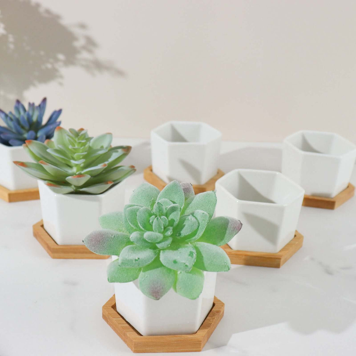 6-Pack Planter Pots Geometric Hexagon Design White - Ceramic Pots with Bamboo Tray and Removable Bottom 3"