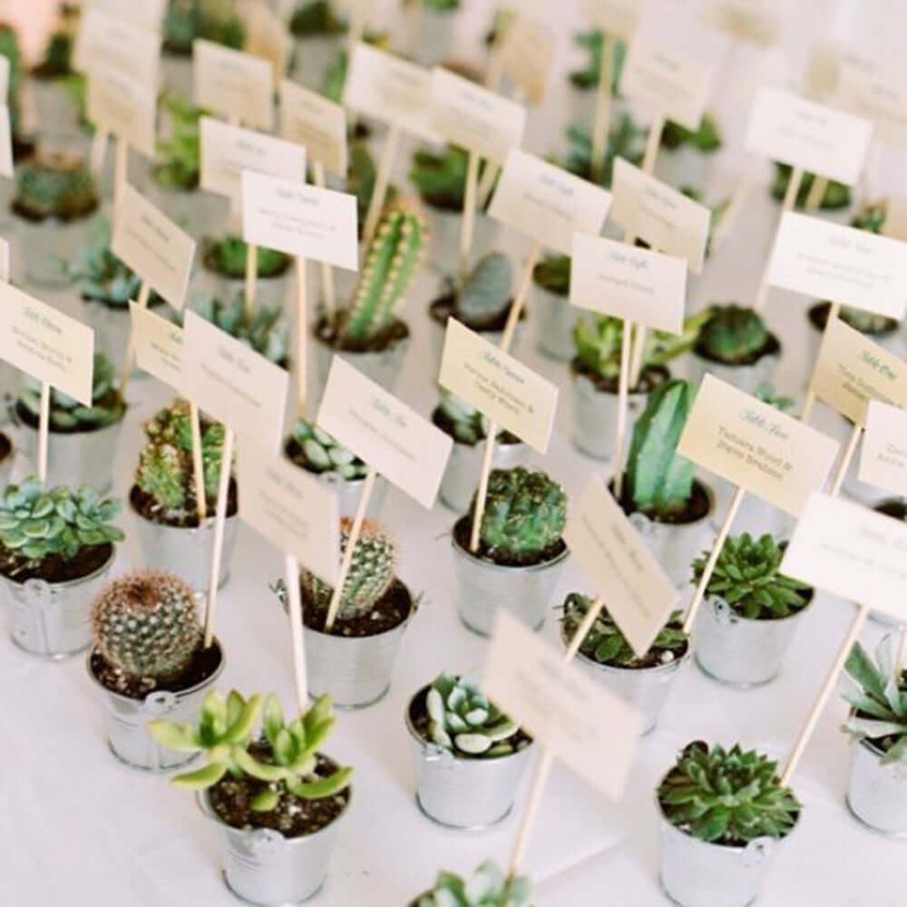 3-Pack Mini Jade Artificial Succulents in Ceramic Pots - Lifelike Decorative Faux Plants for Home Office & Event Design 3"