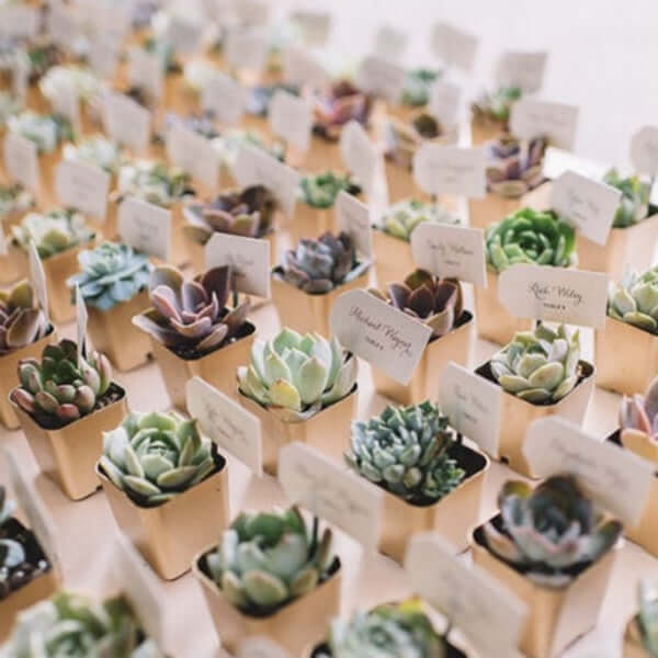 3-Pack Joy Sedum Artificial Succulents in Ceramic Pots - Lifelike Decorative Faux Plants for Home Office & Event Design 6"