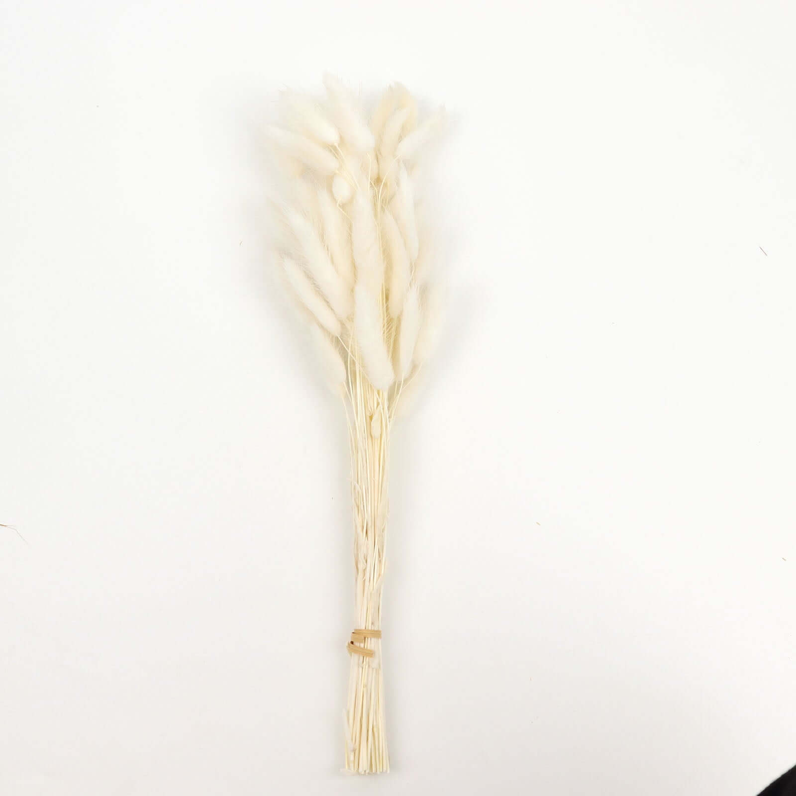 50-Pack Dried Bunny Tail Grass Natural White - Rustic Chic Lagurus Ovatus Rabbit Tail Ornamental Grass for Modern Farmhouse Decor Event Styling & Floral Displays 15"