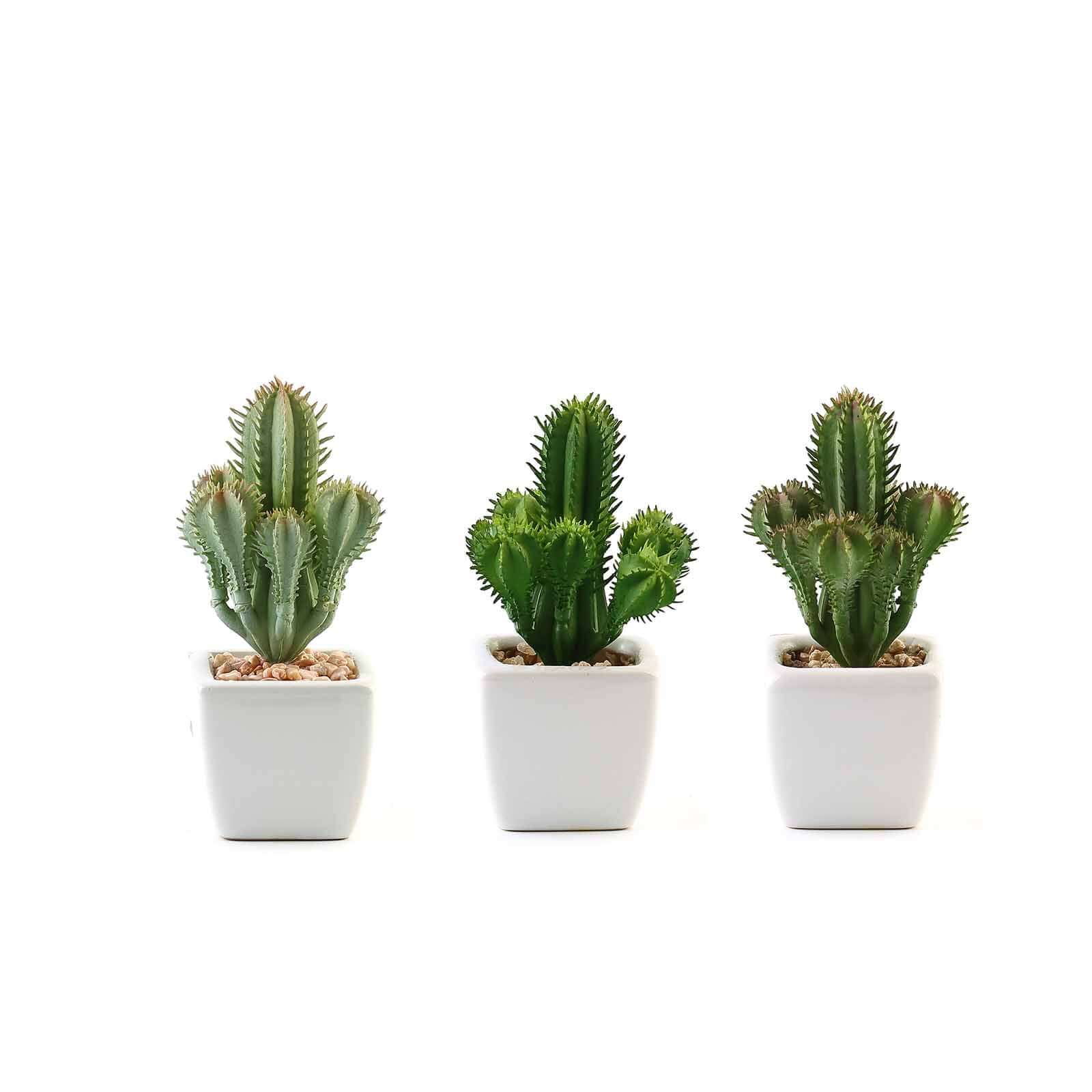3-Pack Cacti Artificial Succulents in Ceramic Pot - Lifelike Decorative Faux Plants for Home Office & Event Design 5"