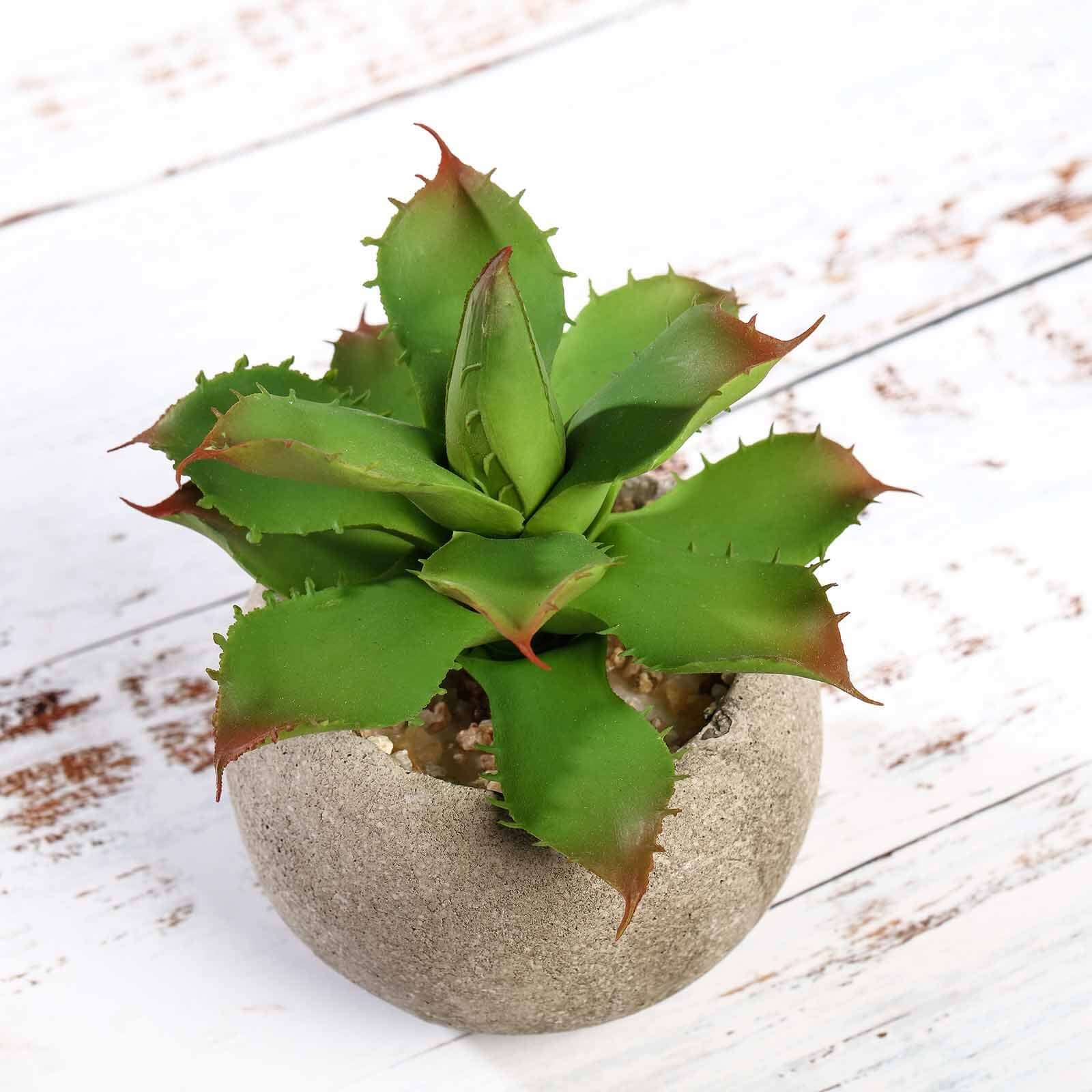 3-Pack Aloe Artificial Succulents in Ceramic Pot - Lifelike Decorative Faux Plants for Home Office & Event Design 5"
