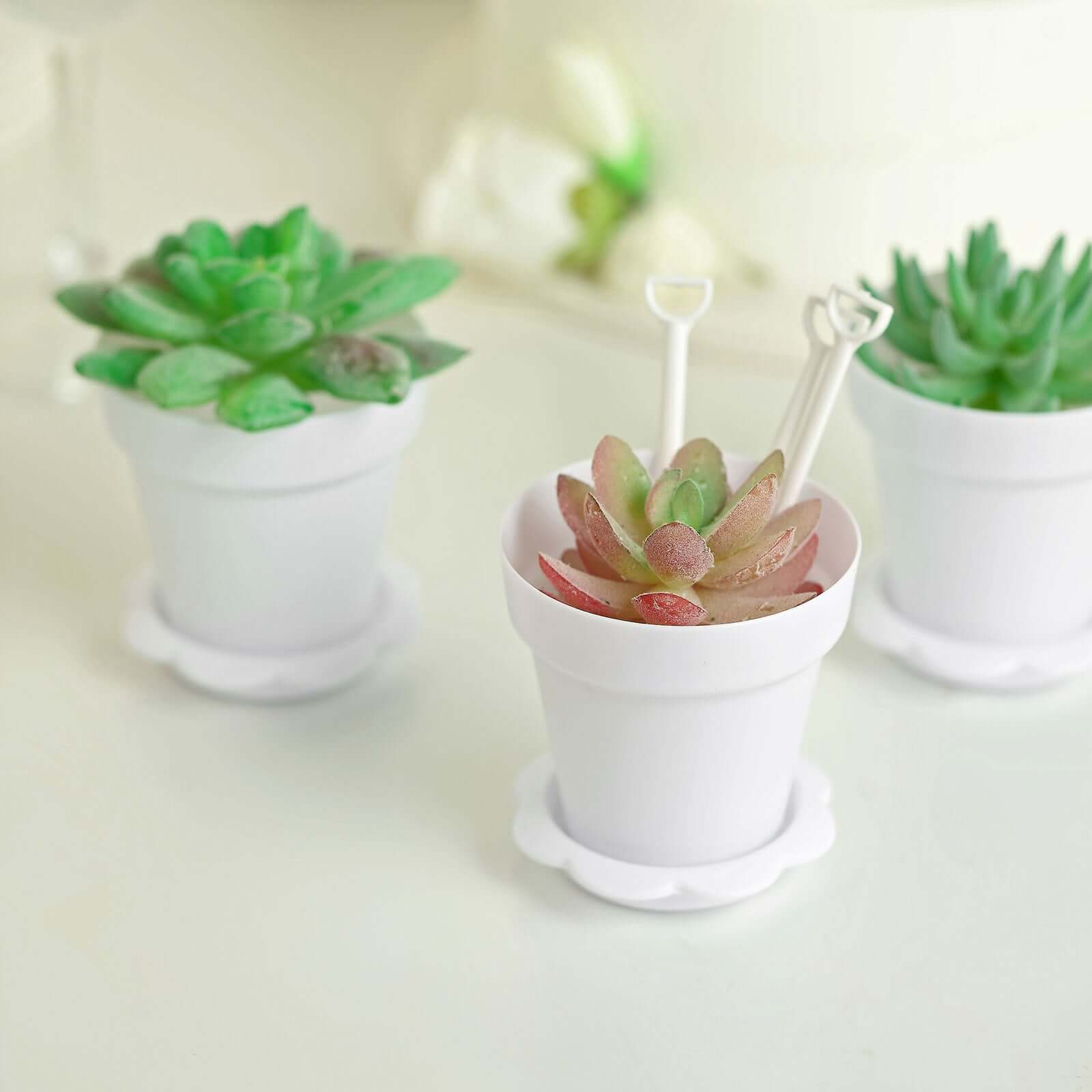 12-Pack Dessert Cups Succulent Planter Design White - Plastic Serving Cups with Lids and Shovels 4"