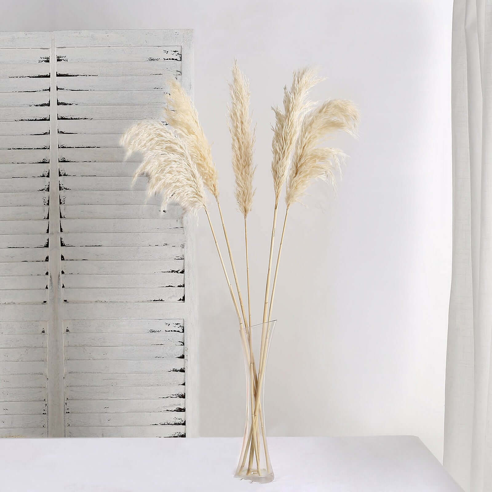6 Stems Natural Dried Pampas Grass Decor Wheat Tint - Versatile Plant Sprays for Boho Chic Vase Displays Backdrops & Event Styling 32"