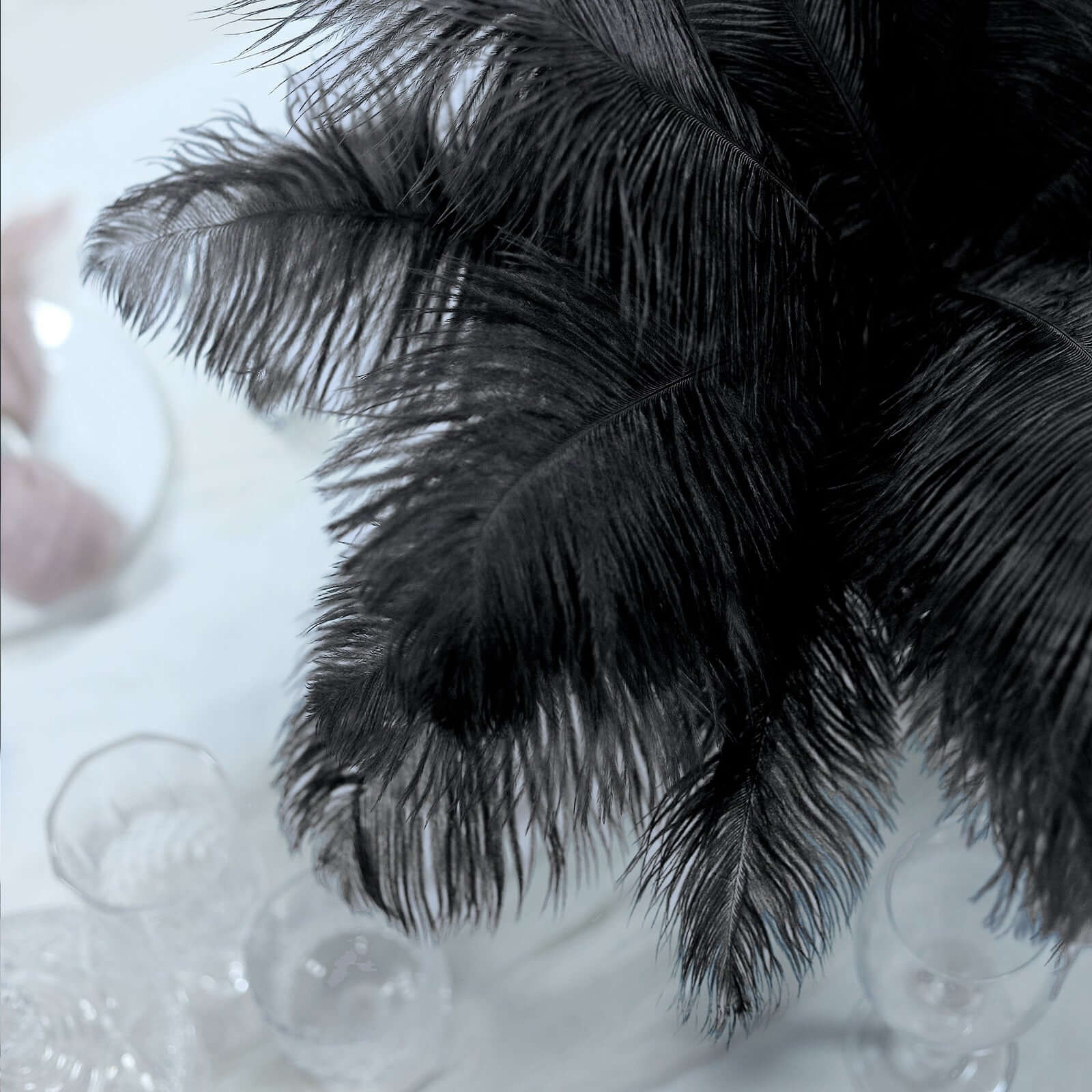 12 Pack 13"-15" Black Natural Plume Real Ostrich Feathers, DIY Centerpiece Fillers