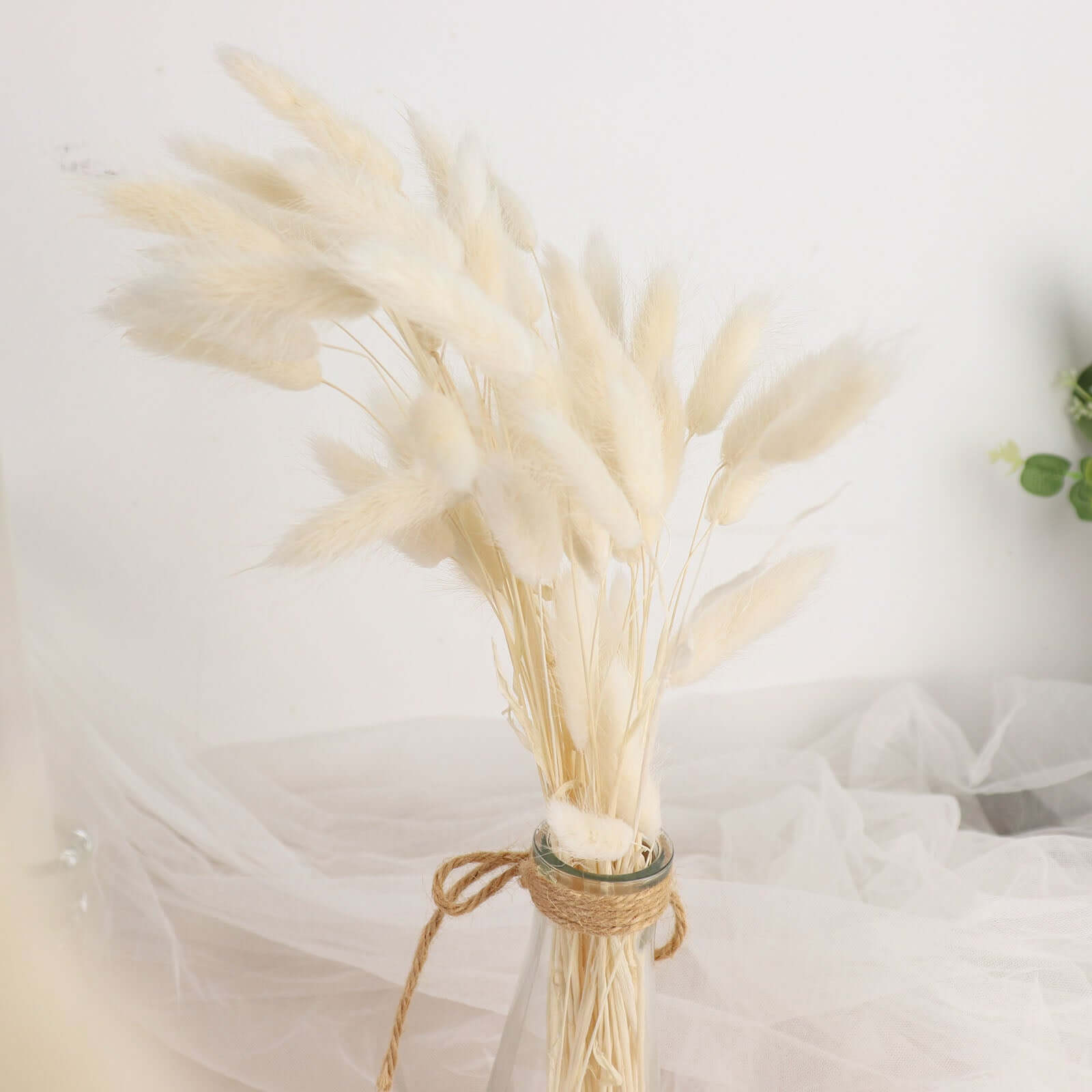 50-Pack Dried Bunny Tail Grass Natural White - Rustic Chic Lagurus Ovatus Rabbit Tail Ornamental Grass for Modern Farmhouse Decor Event Styling & Floral Displays 15"