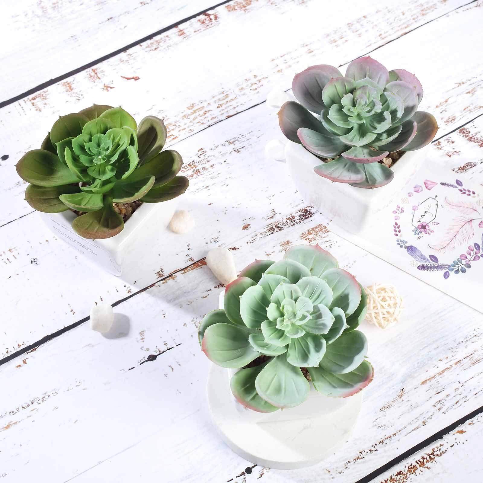 3-Pack Echeveria Artificial Succulents in Ceramic Pot - Lifelike Decorative Faux Plants for Home Office & Event Design 4"