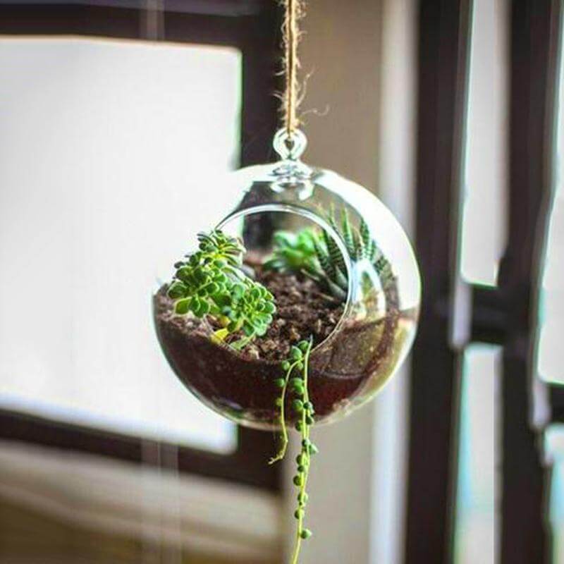 4-Pack Glass Terrarium Hanging Globe Design Free-Falling - Modern Planter for Air Plants & Displays 4"